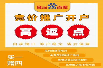 百度竞价推广在电商领域的赚钱案例